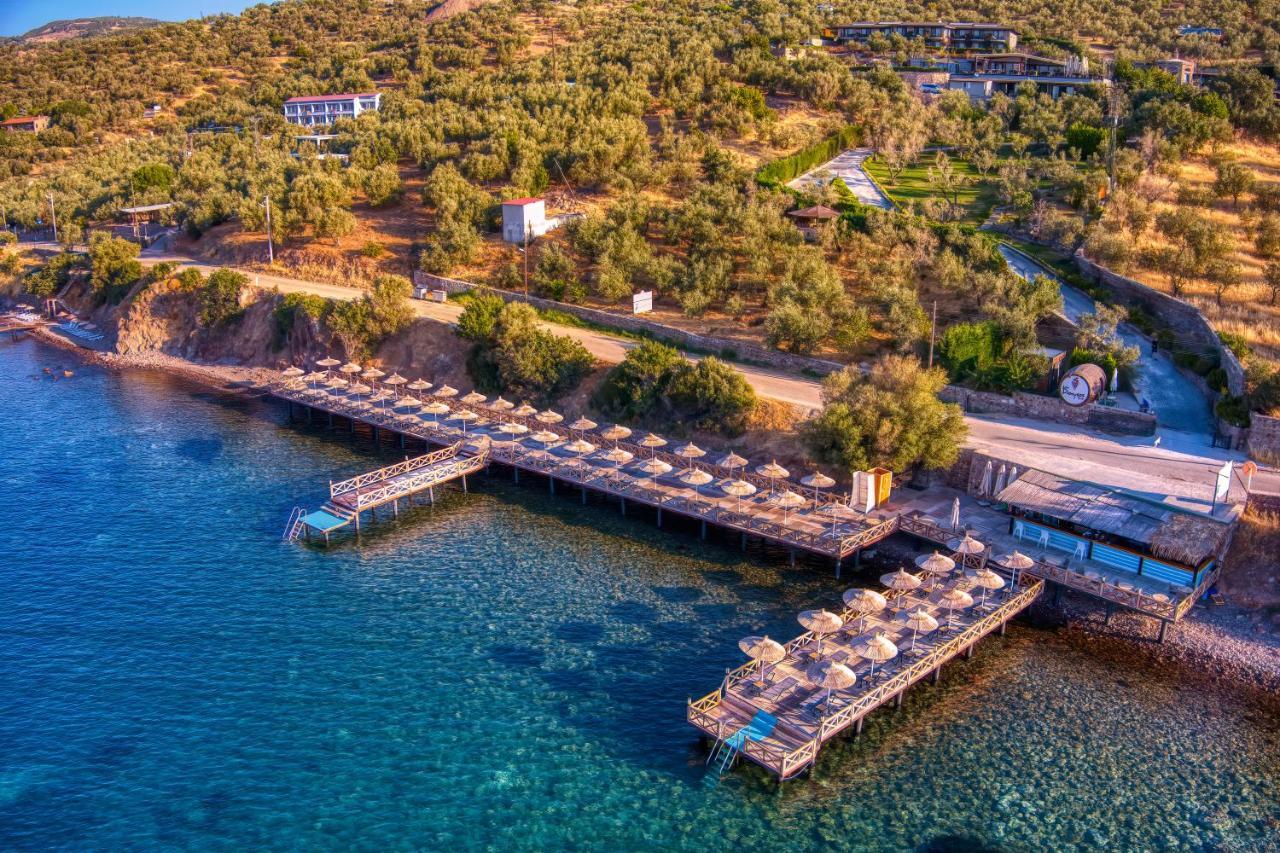 Assos Dionysos Special Class Hotel Adults Only 12 Years Ngoại thất bức ảnh