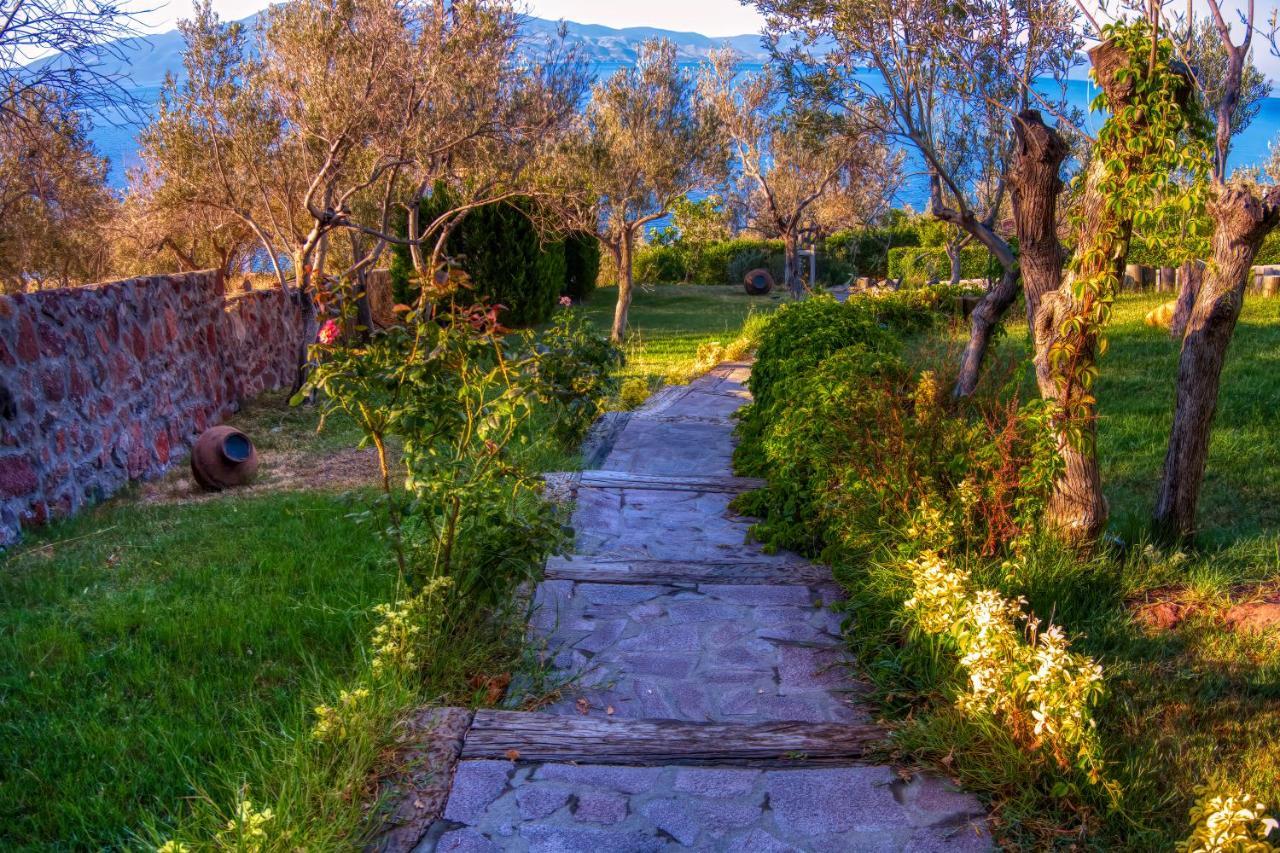 Assos Dionysos Special Class Hotel Adults Only 12 Years Ngoại thất bức ảnh