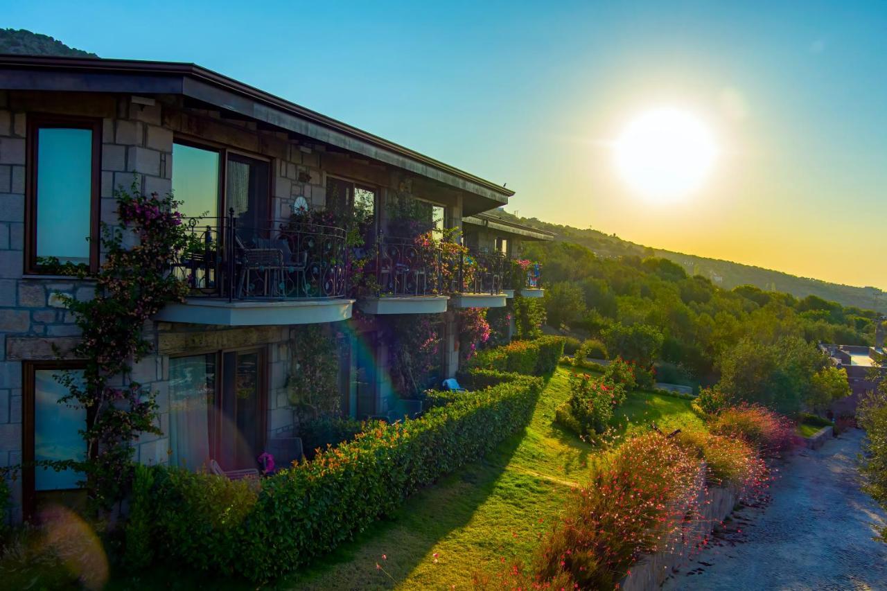 Assos Dionysos Special Class Hotel Adults Only 12 Years Ngoại thất bức ảnh