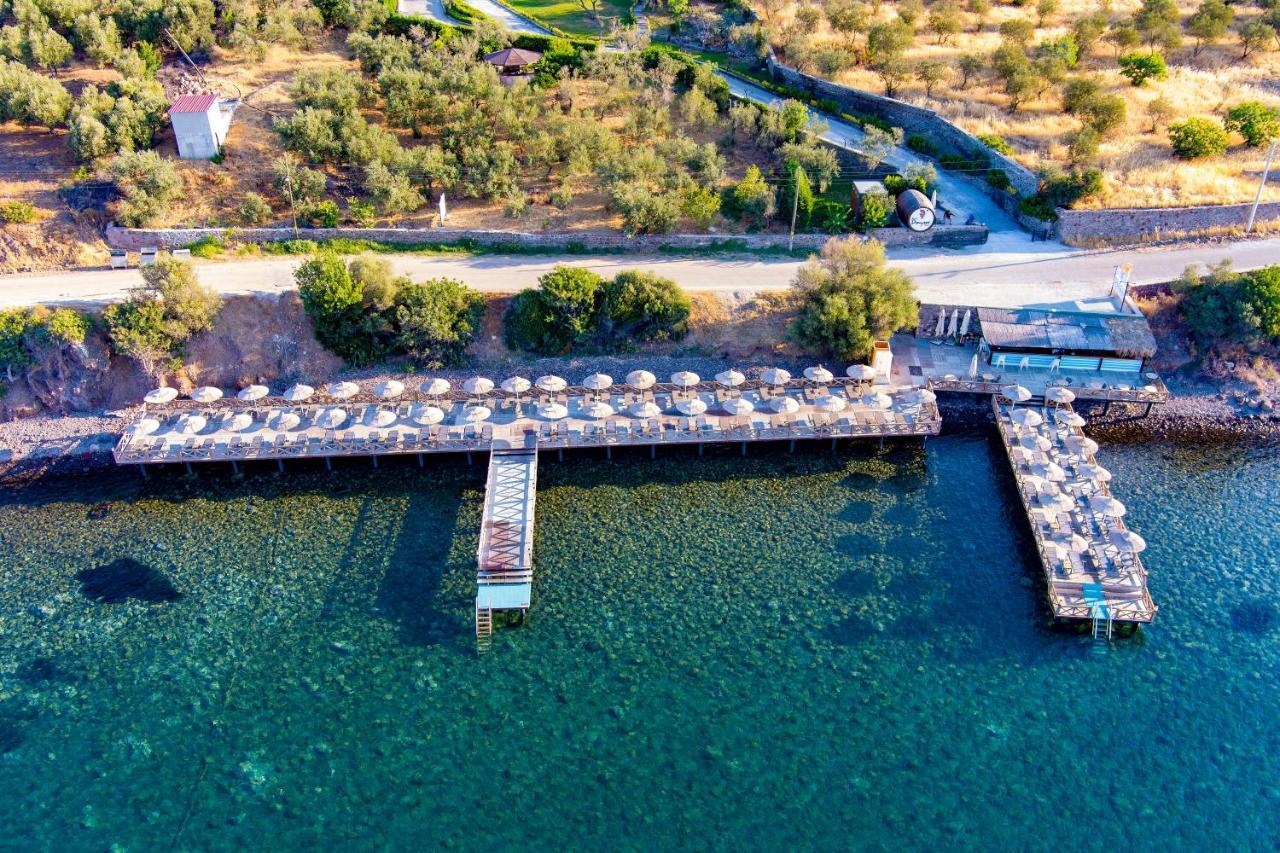 Assos Dionysos Special Class Hotel Adults Only 12 Years Ngoại thất bức ảnh